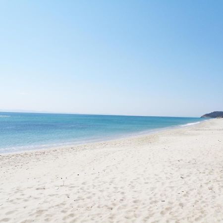 Thassosrent Apartment ลิเมนาเรีย ภายนอก รูปภาพ